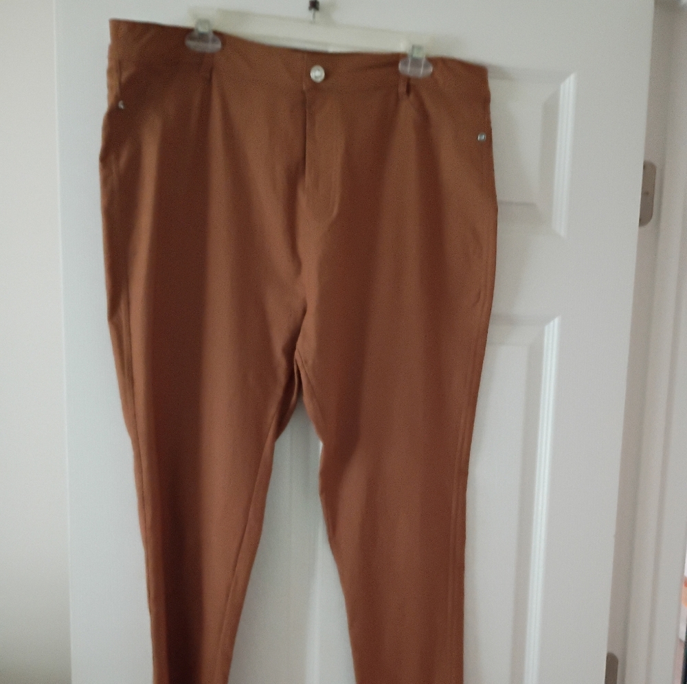 Women's Brown Stretch Skinny Leg Pants 3X